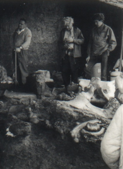 19640000 AVELEY 04.jpg